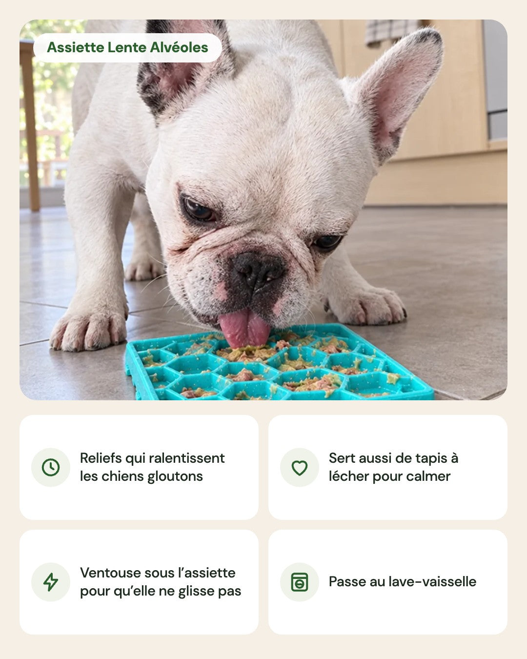 Assiette Lente Alvéoles – points forts