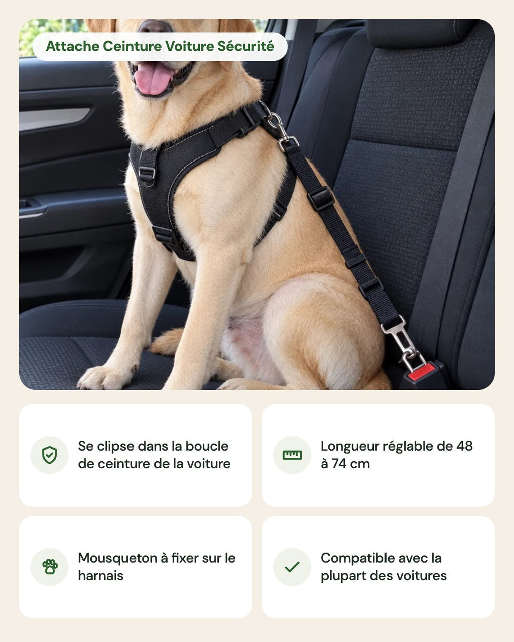 Attache Ceinture Voiture Sécurité – points forts