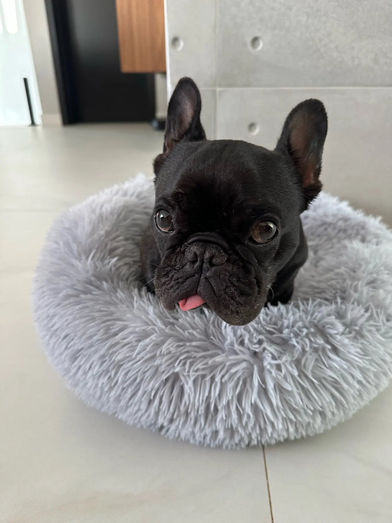 Photo client (acheteur AliExpress) – panier donut bouledogue