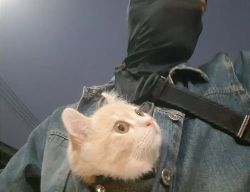 Photo client (acheteur AliExpress) – sac echarpe chat