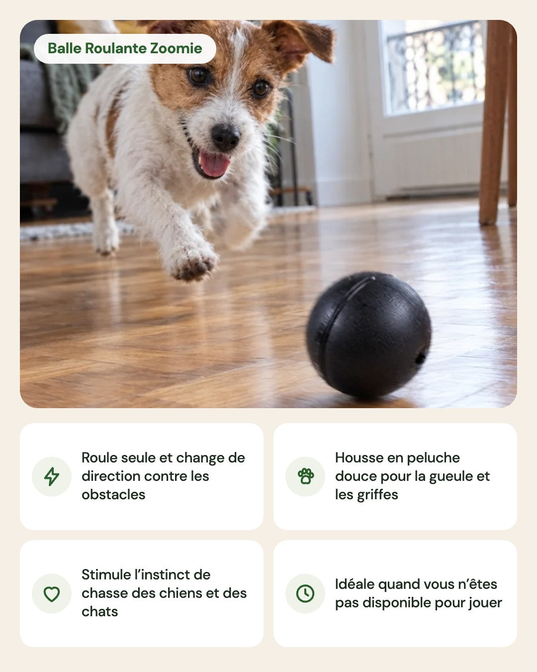 Balle Roulante Zoomie – points forts
