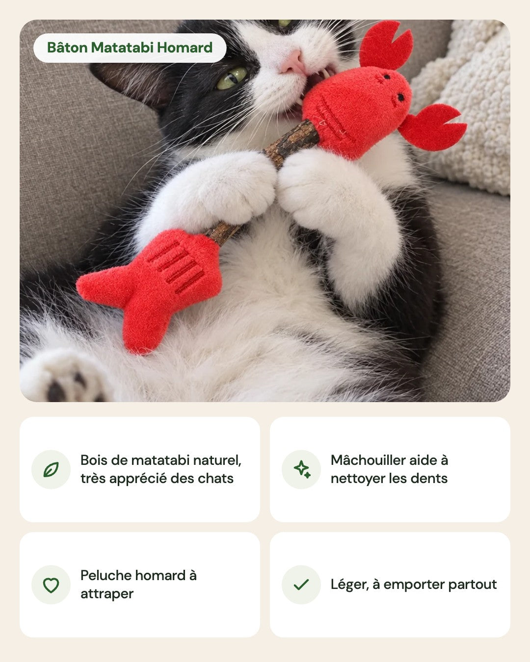 Bâton Matatabi Homard – points forts
