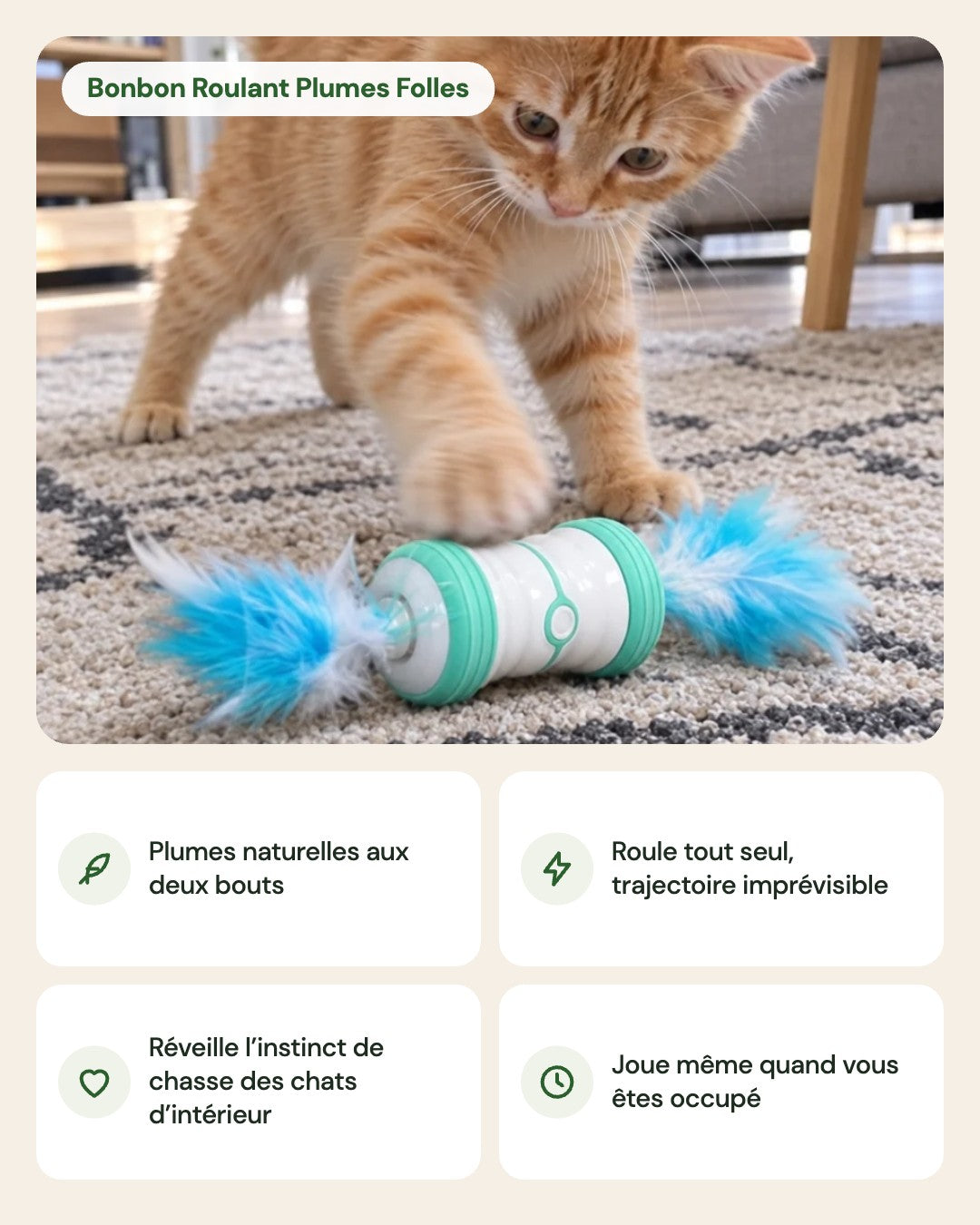 Bonbon Roulant Plumes Folles – points forts