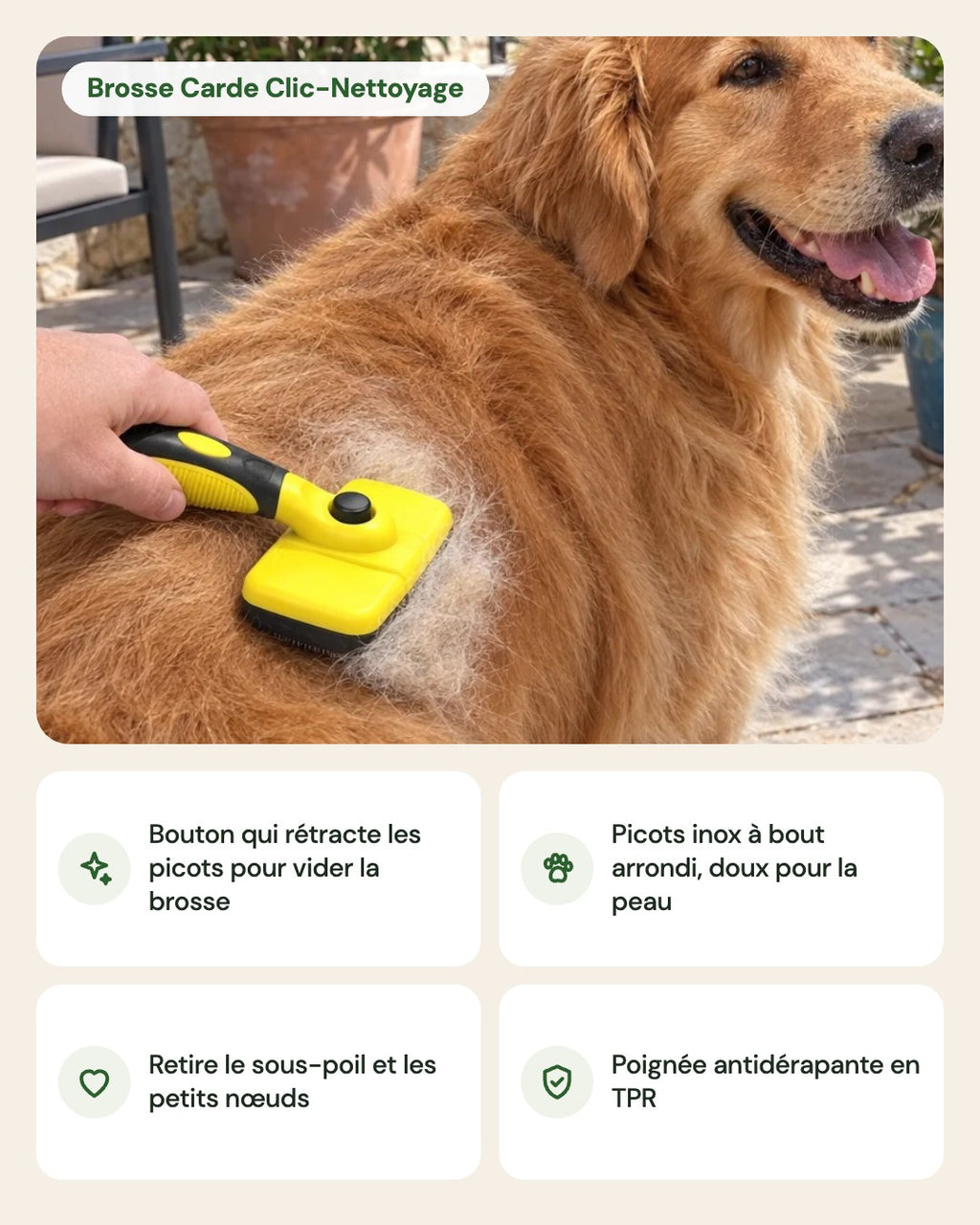 Brosse Carde Clic-Nettoyage – points forts