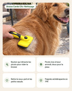 Brosse Carde Clic-Nettoyage – points forts