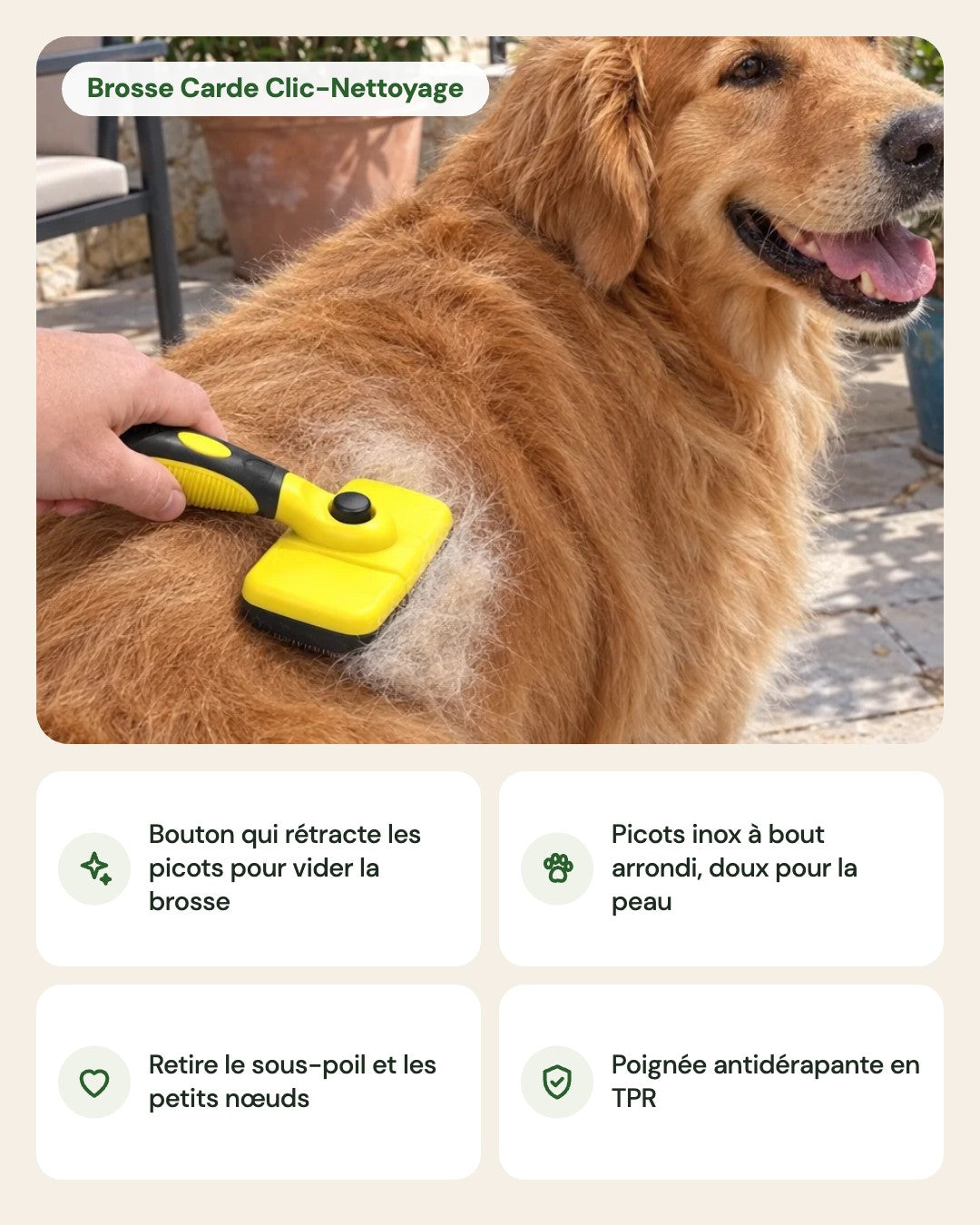 Brosse Carde Clic-Nettoyage – points forts