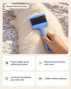 Brosse Carde Douceur – points forts