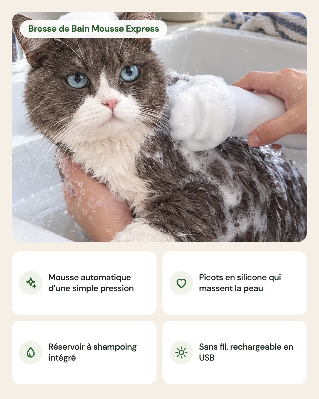 Brosse de Bain Mousse Express – points forts