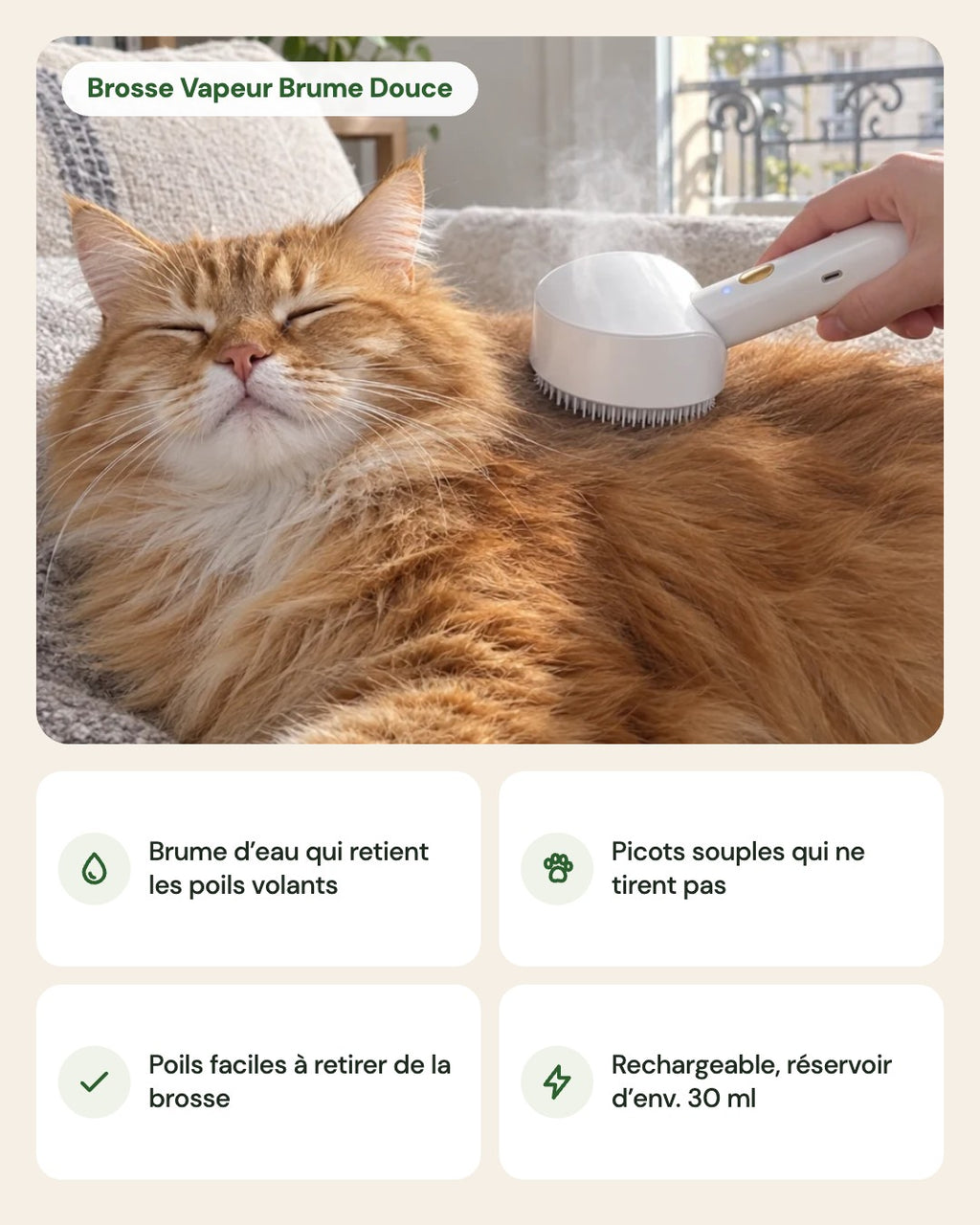 Brosse Vapeur Brume Douce – points forts