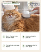 Brosse Vapeur Brume Douce – points forts