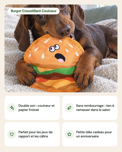 Burger Croustillant Couineur – points forts