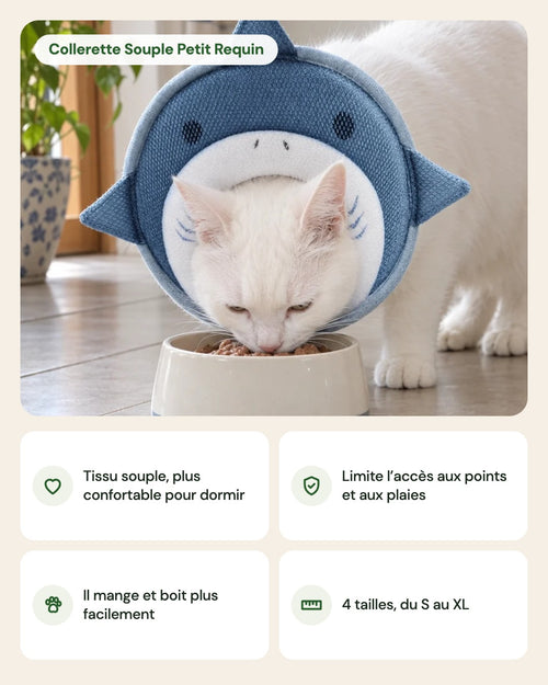 Collerette Souple Petit Requin – points forts