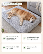 Coussin Mémoire Onde Douce – points forts
