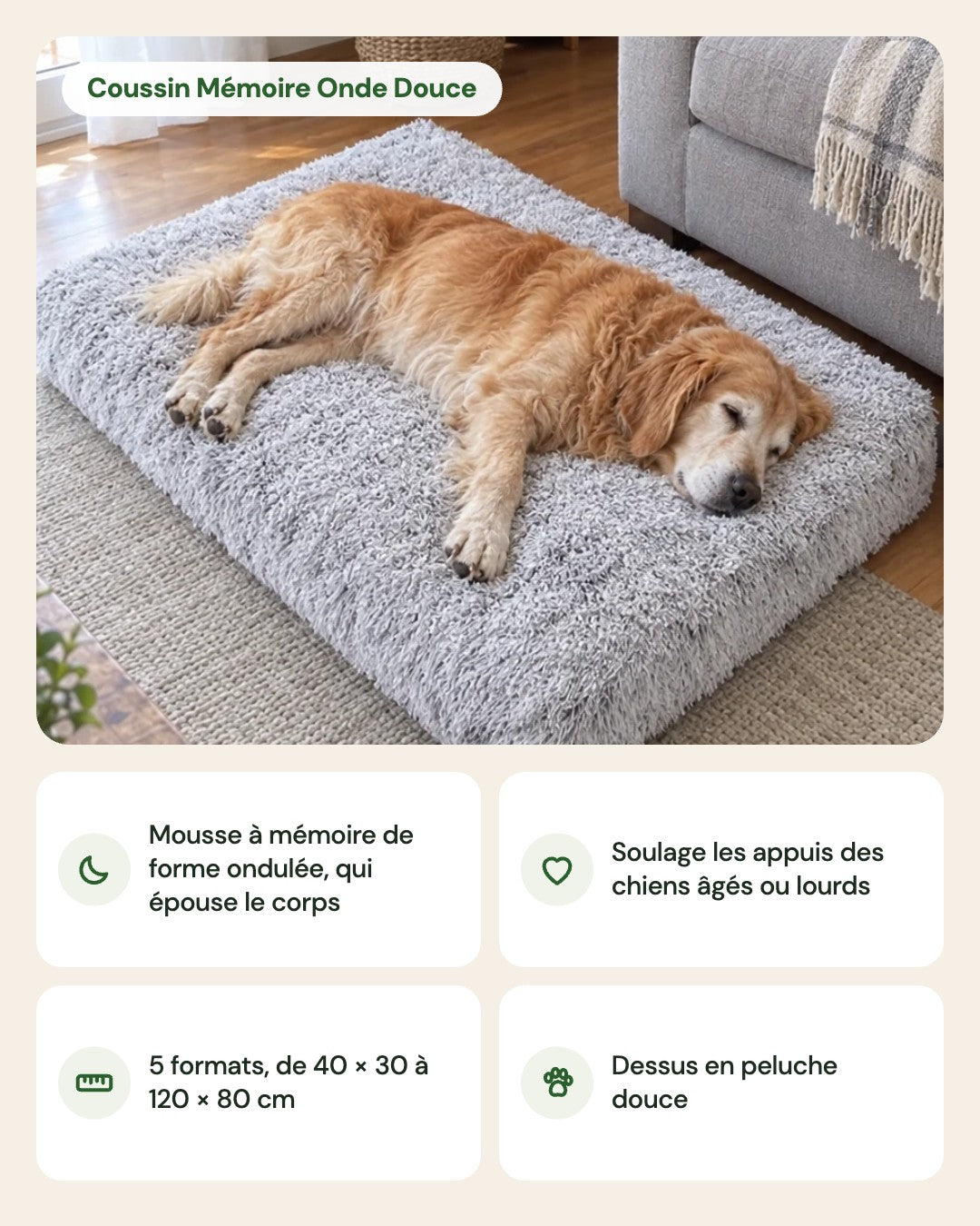 Coussin Mémoire Onde Douce – points forts