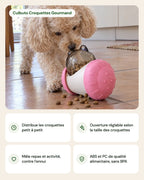 Culbuto Croquettes Gourmand – points forts