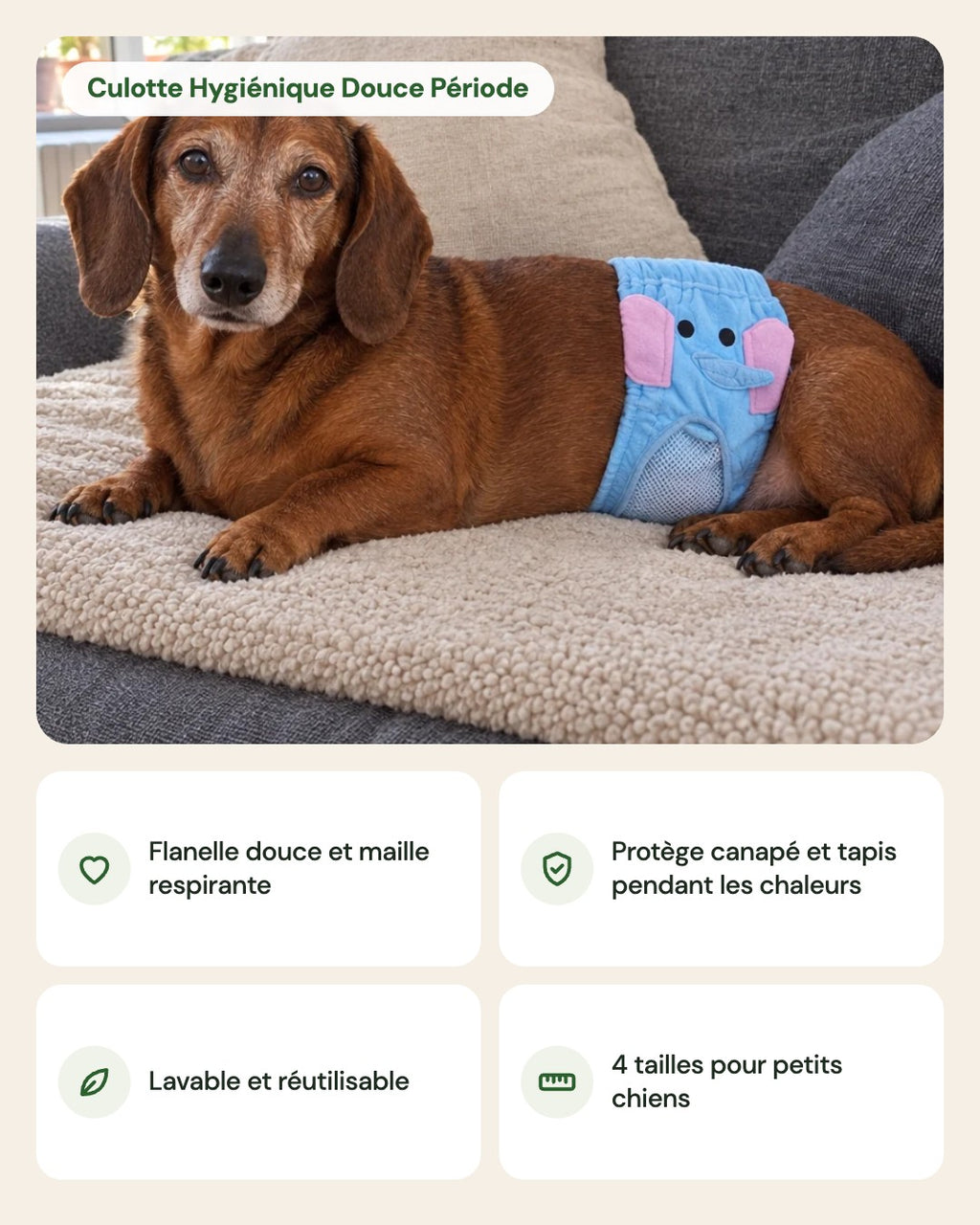 Culotte Hygiénique Douce Période – points forts