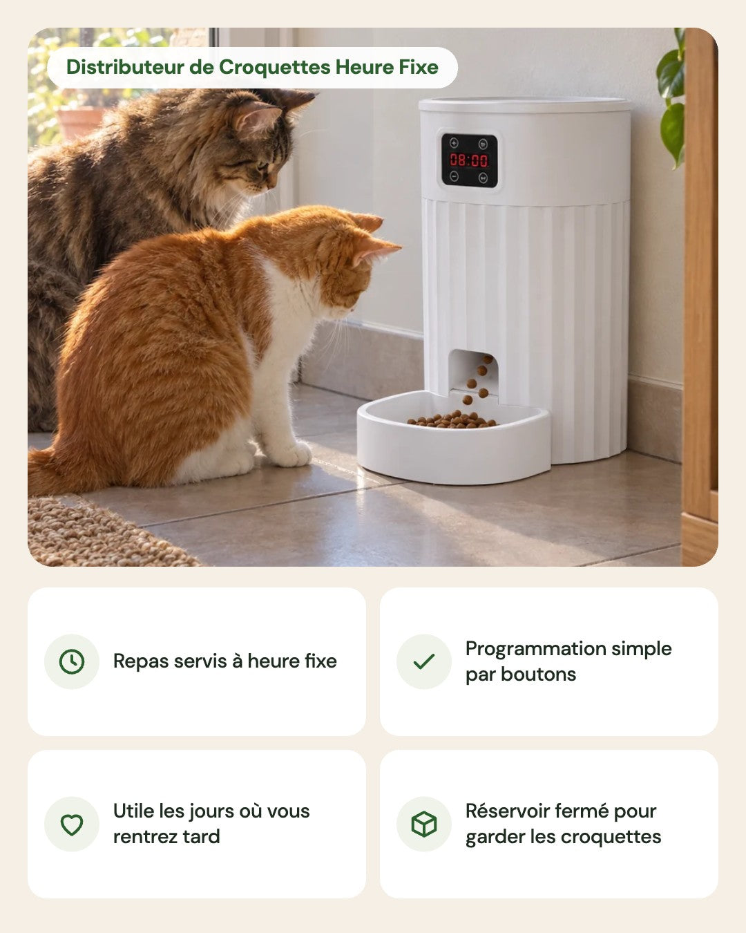 Distributeur de Croquettes Heure Fixe – points forts