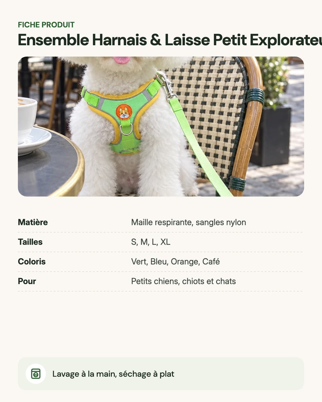 Ensemble Harnais & Laisse Petit Explorateur – fiche produit