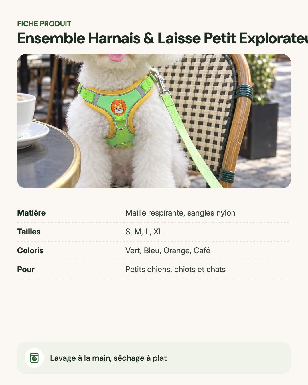 Ensemble Harnais & Laisse Petit Explorateur – fiche produit