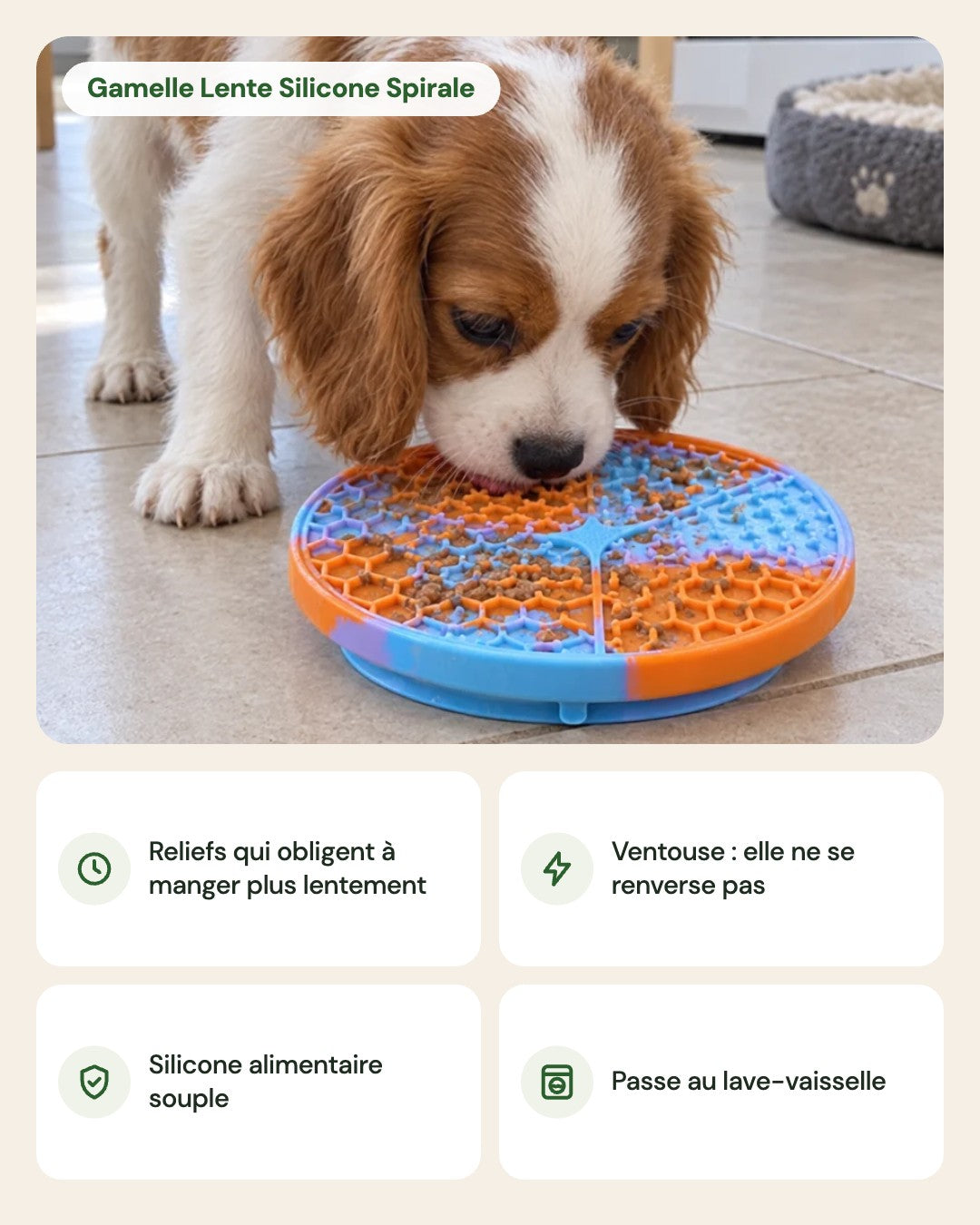 Gamelle Lente Silicone Spirale – points forts