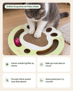 Griffoir Empreinte de Patte à Balle – points forts