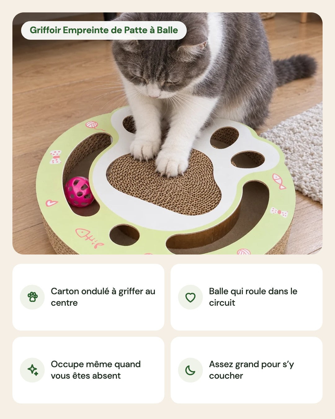 Griffoir Empreinte de Patte à Balle – points forts