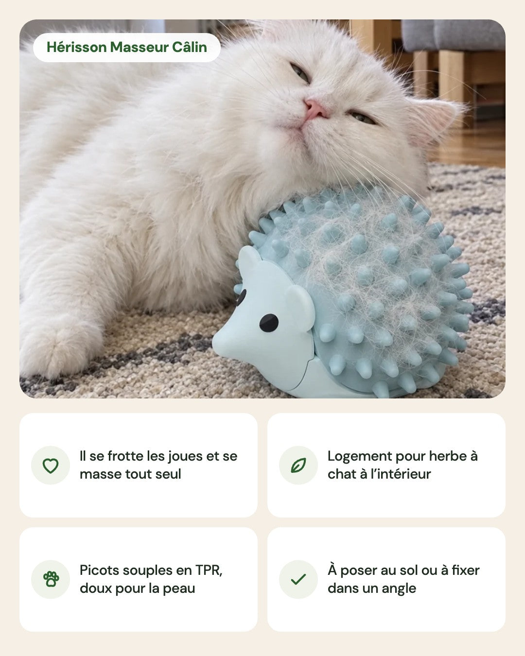 Hérisson Masseur Câlin – points forts