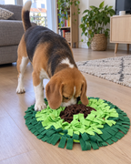 Beagle qui cherche des croquettes dans le tapis de fouille