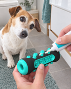 Dentifrice déposé dans les rainures du jouet