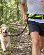 Ceinture avec poche zippée et laisse