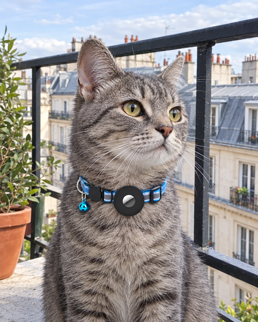 Chat tigré avec collier porte-AirTag sur un balcon