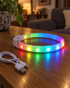 Collier lumineux LED rechargeable NordPet