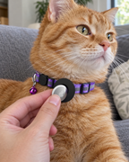 Installation d'un AirTag dans l'étui du collier