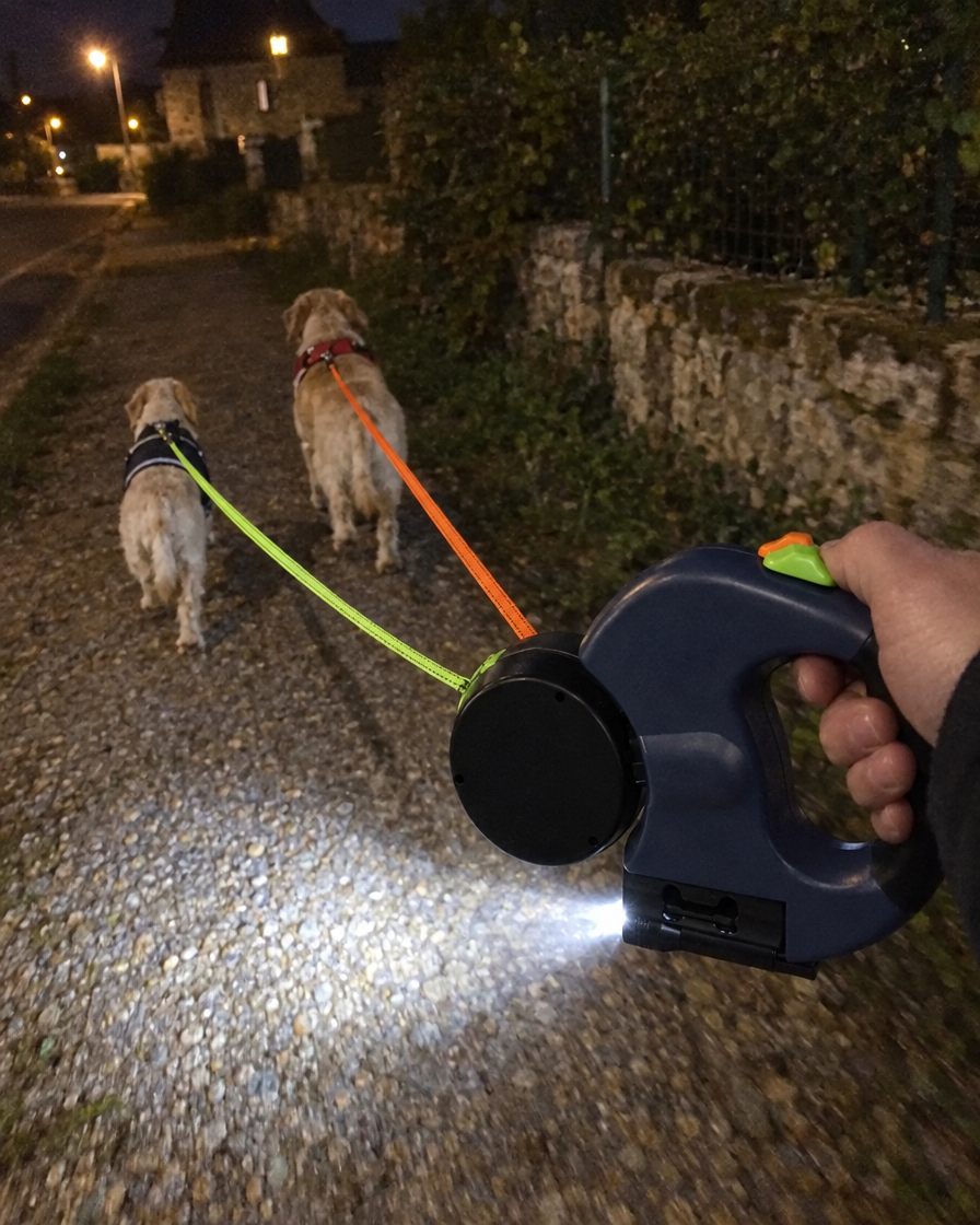 Lampe LED de la double laisse le soir