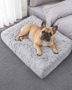 Bouledogue français sur son coussin