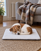Jack russell endormi sur le tapis chauffant