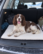 Tapis auto-chauffant dans le coffre de la voiture