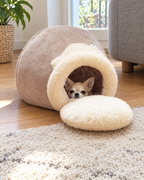Chihuahua qui sort la tête du lit grotte