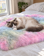 Chat ragdoll sur le plaid arc-en-ciel