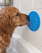 Chien qui lèche le tapis pendant son bain