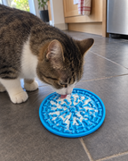 Chat qui lèche du yaourt sur le tapis