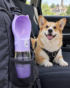 Gourde dans le sac pour le voyage