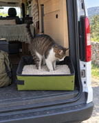 Chat qui utilise la litière dans un van