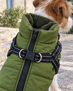 Doublure polaire et anneau de laisse du manteau