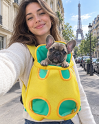Bouledogue français en porte-animal à Paris