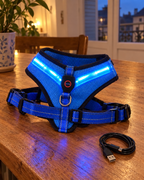Harnais lumineux LED bleu pour chien