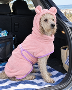Chien en peignoir absorbant dans le coffre de la voiture après la plage