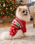 Petit chien en pull de Noël devant le sapin