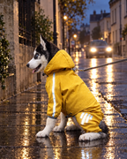 Bandes réfléchissantes de l'imperméable pour chien de nuit