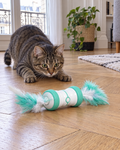 Chat tigré prêt à bondir sur le jouet roulant à plumes